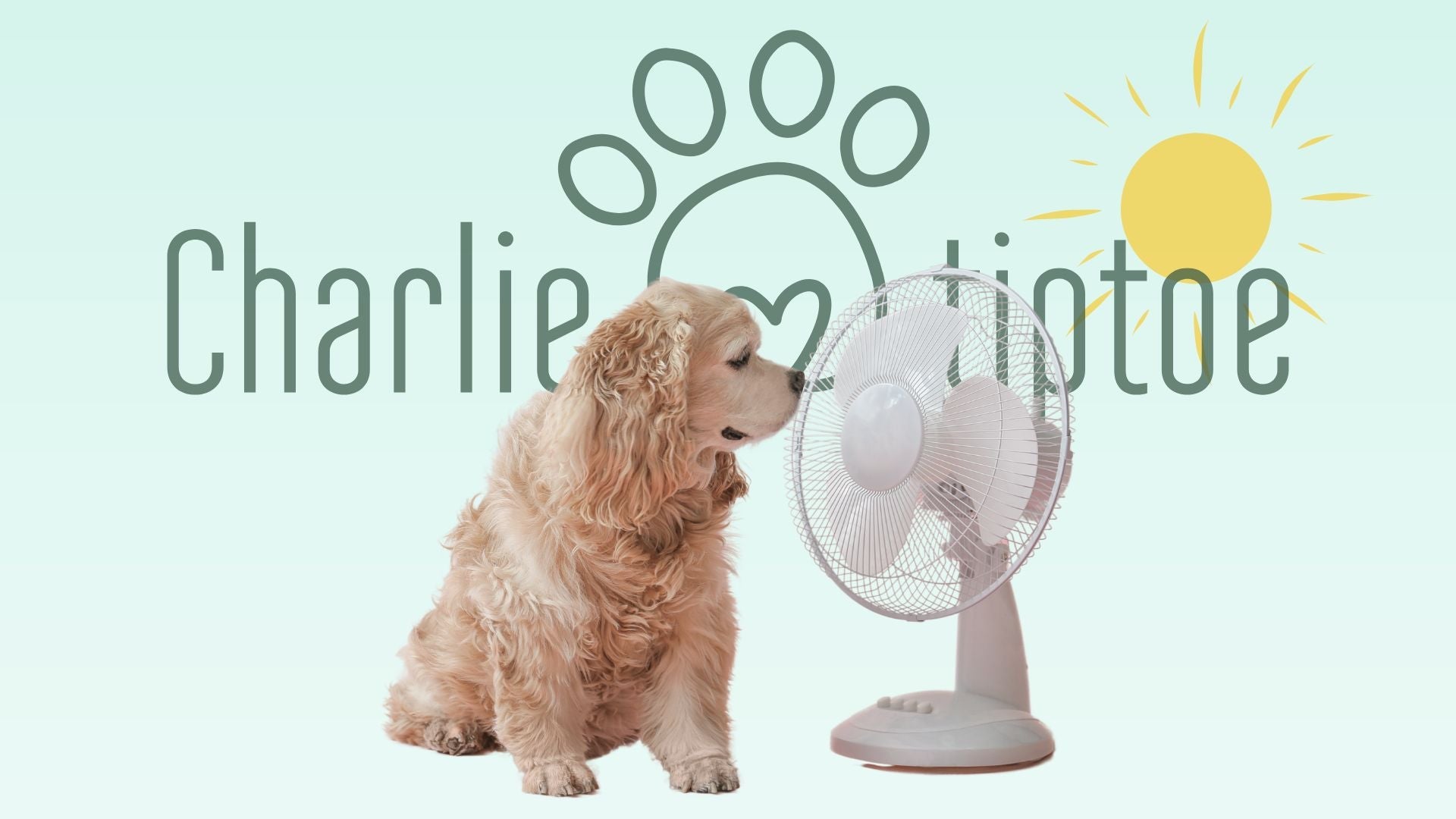 kølende produkter til hund ophedning hjælp til hund til sommer hos charlietiptoe.com