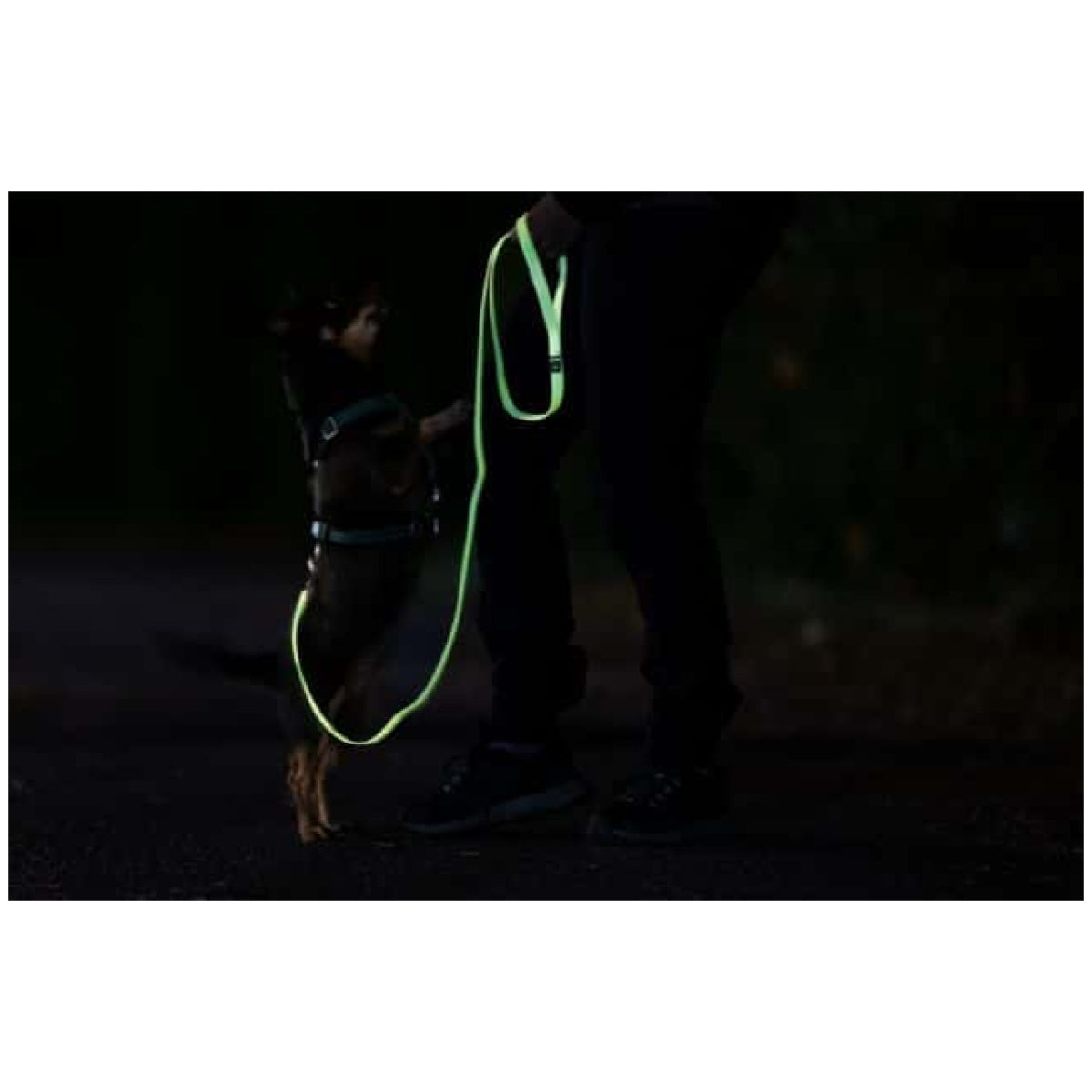 Paikka Glow Line