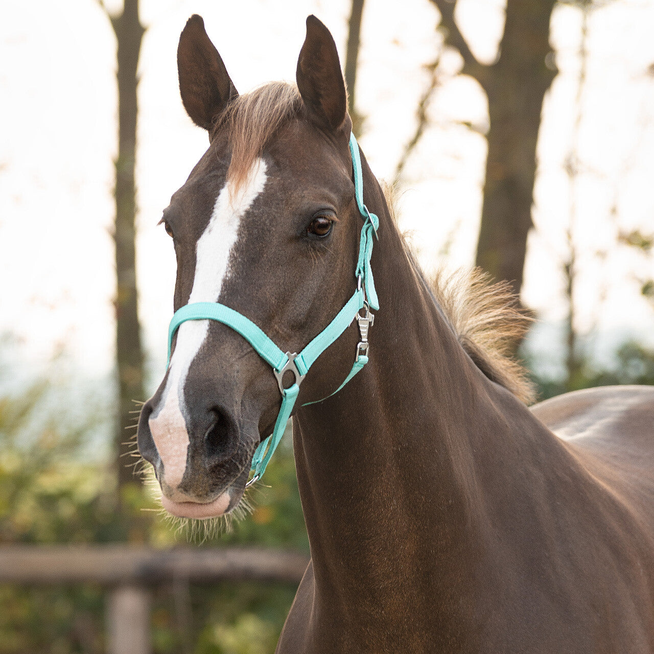 QHP Klassisk foldgrime