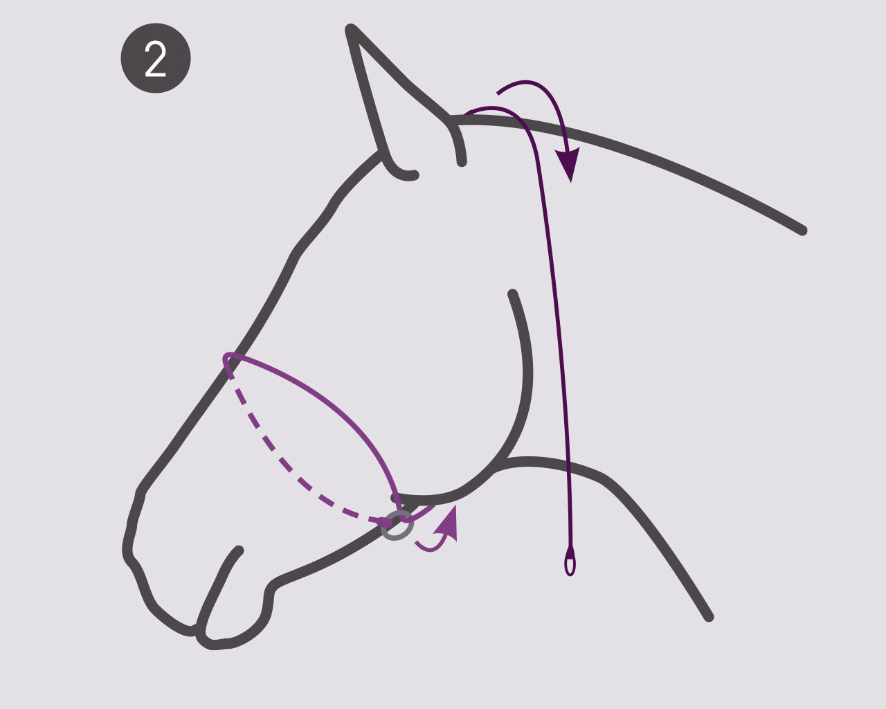 QHP Foto grime til heste