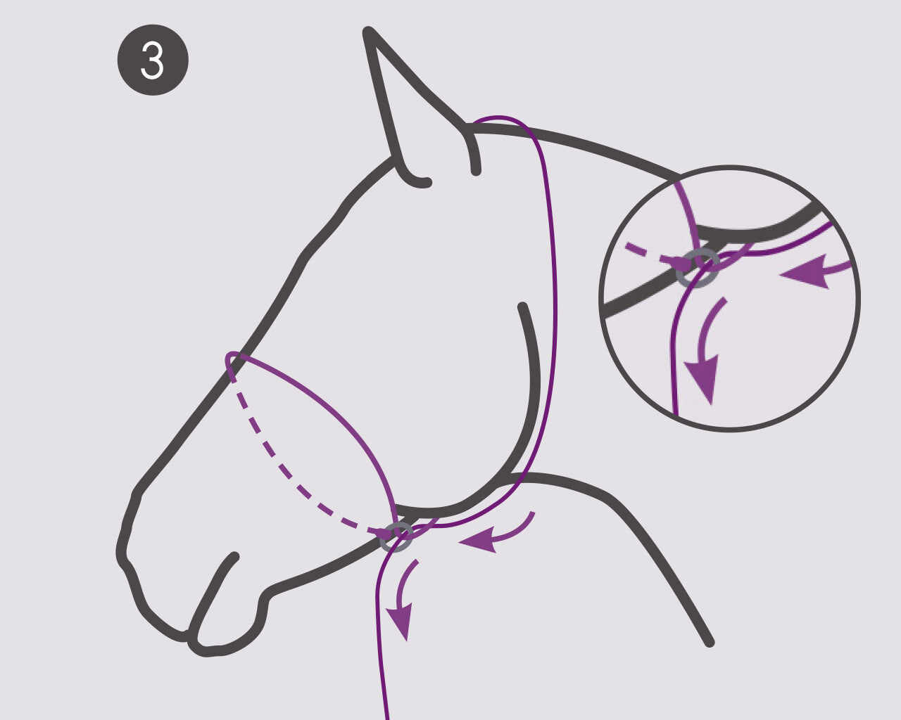 QHP Foto grime til heste