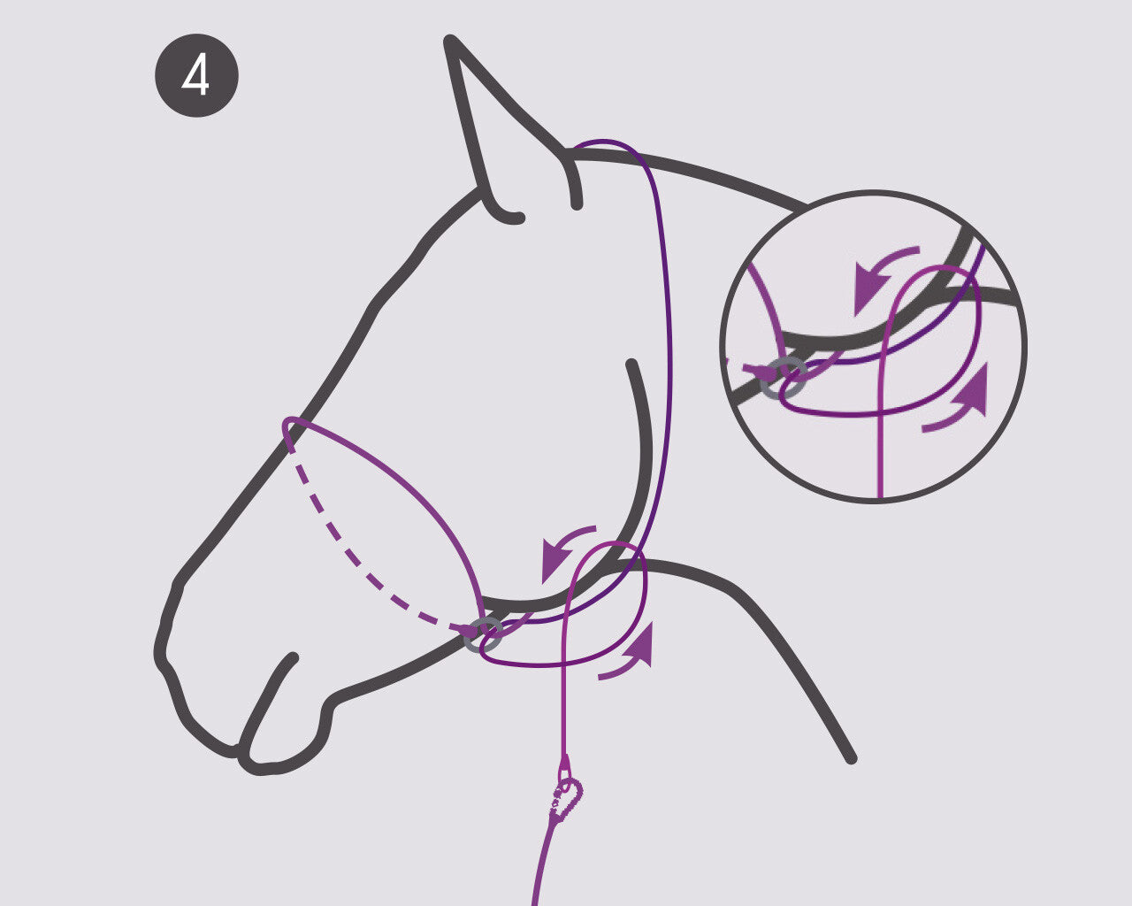 QHP Foto grime til heste