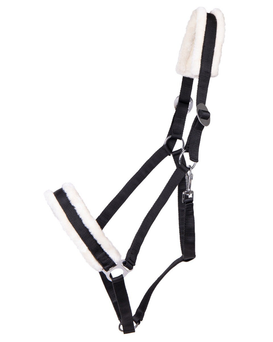 QHP Grime med teddy til trækhest bryggerhest str. XXFULL sort og hvis grime til stor bryggerhest trækhest