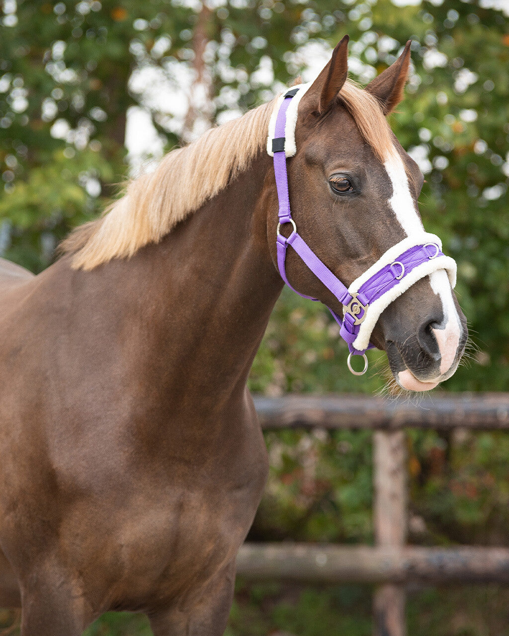 QHP Kapsun med imiteret lam