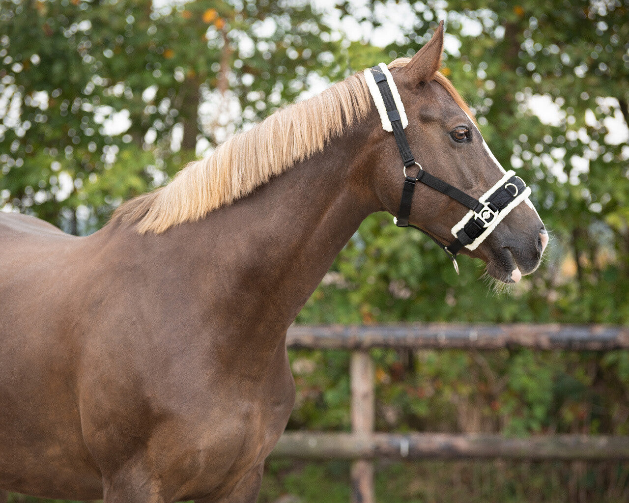 QHP Kapsun med imiteret lam