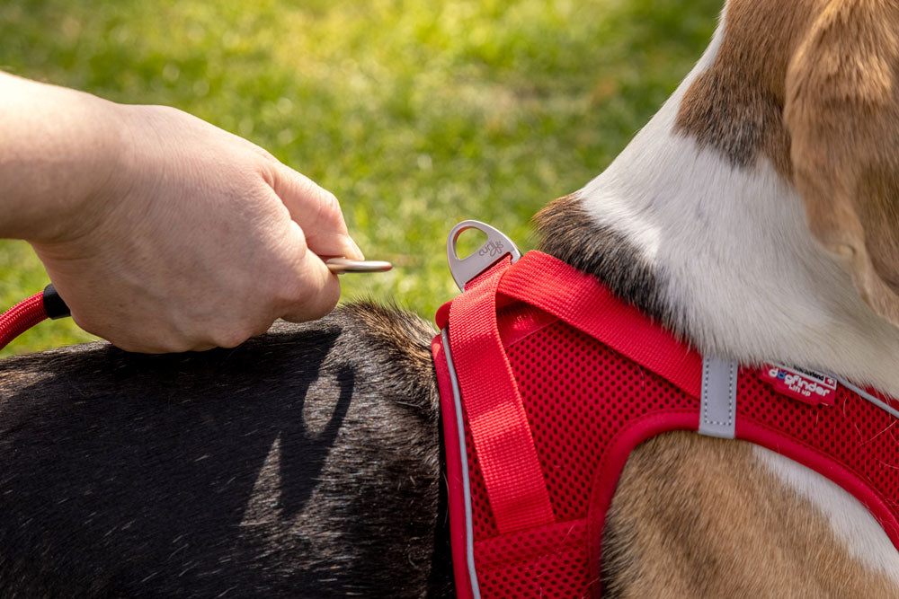Curli Magnetic Vest Harness Air-Mesh