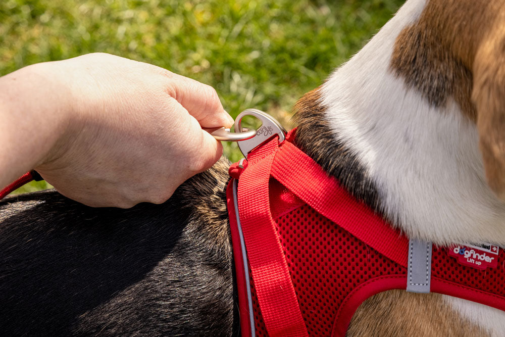 Curli Magnetic Vest Harness Air-Mesh