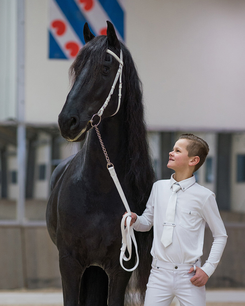 Qhp showtrense str cob