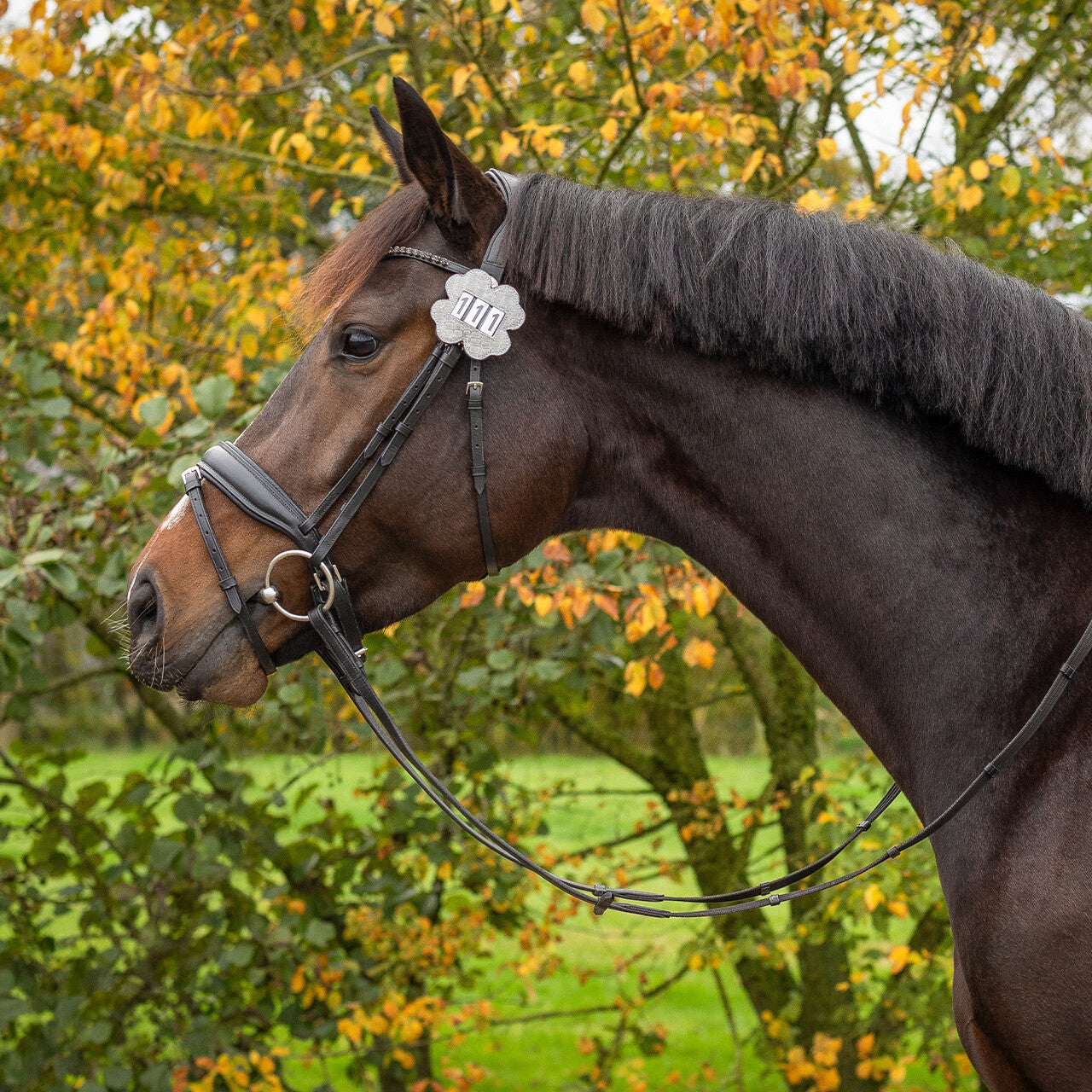 QHP Stævnenummer kløver
