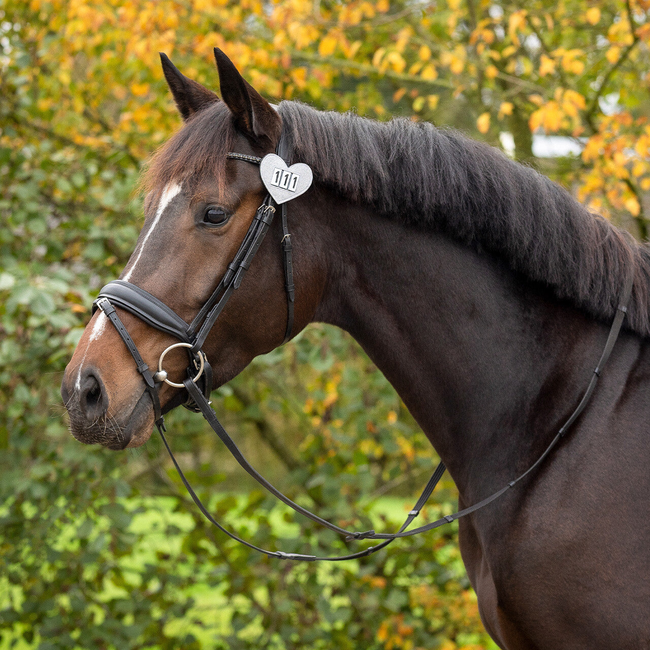 QHP Number Holder Hjerte