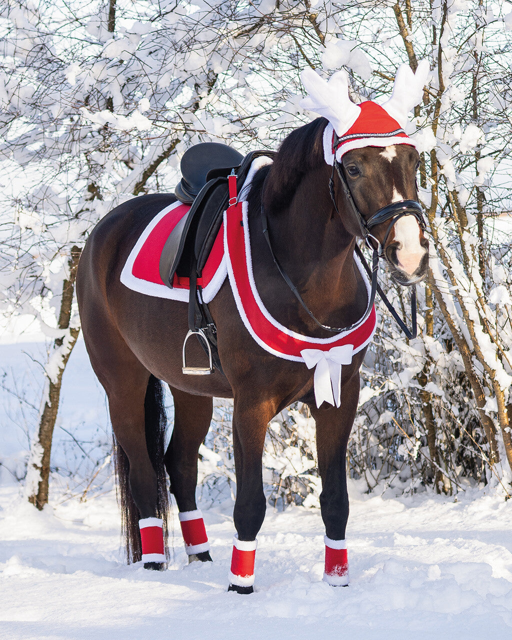 QHP Julefortøj til hest