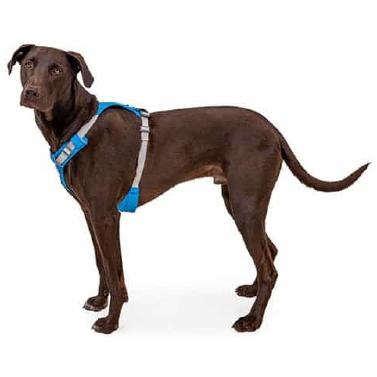 Ruffwear Hi & Light Sele