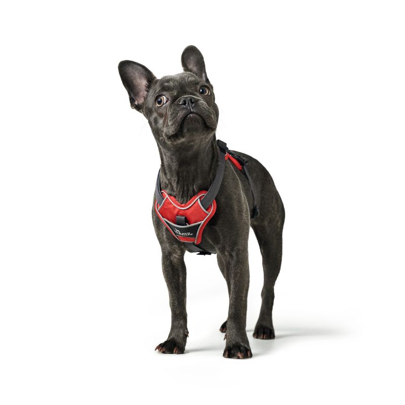 Hunter Divo sele *flere farver*