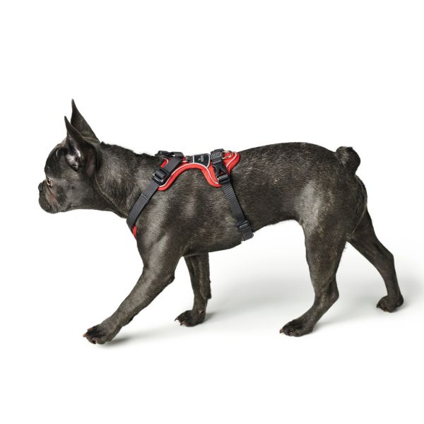 Hunter Divo sele *flere farver*