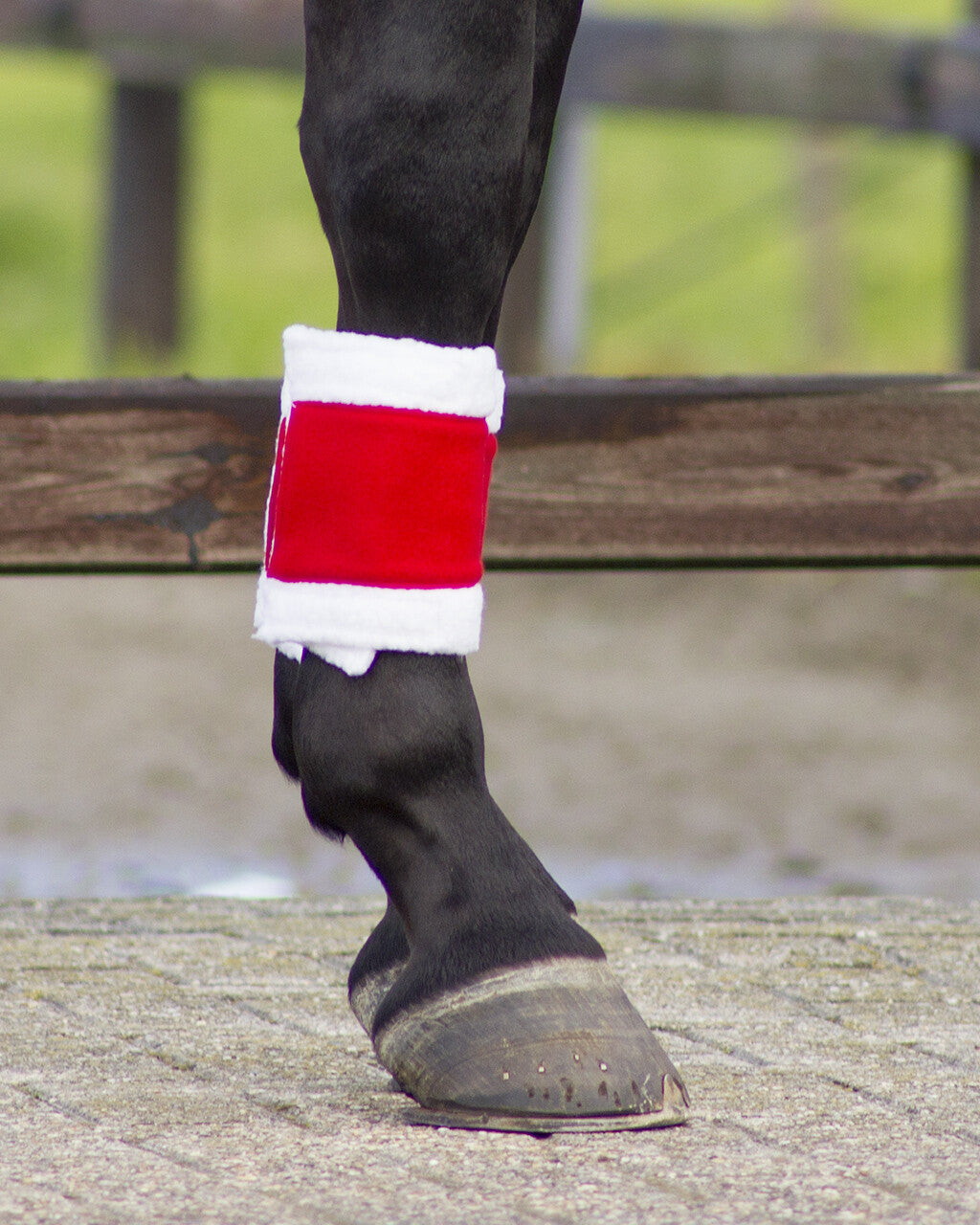 QHP Bandages Christmas Onesize