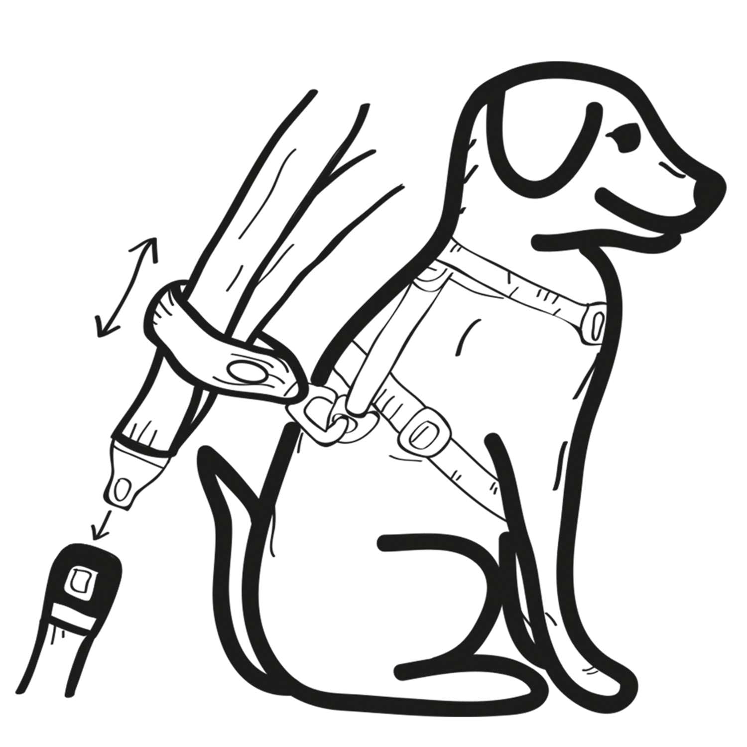 Nobby Seatbelt Loop & Short Leash