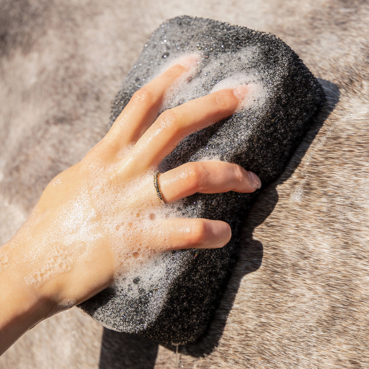 QHP Equi Super Shiner