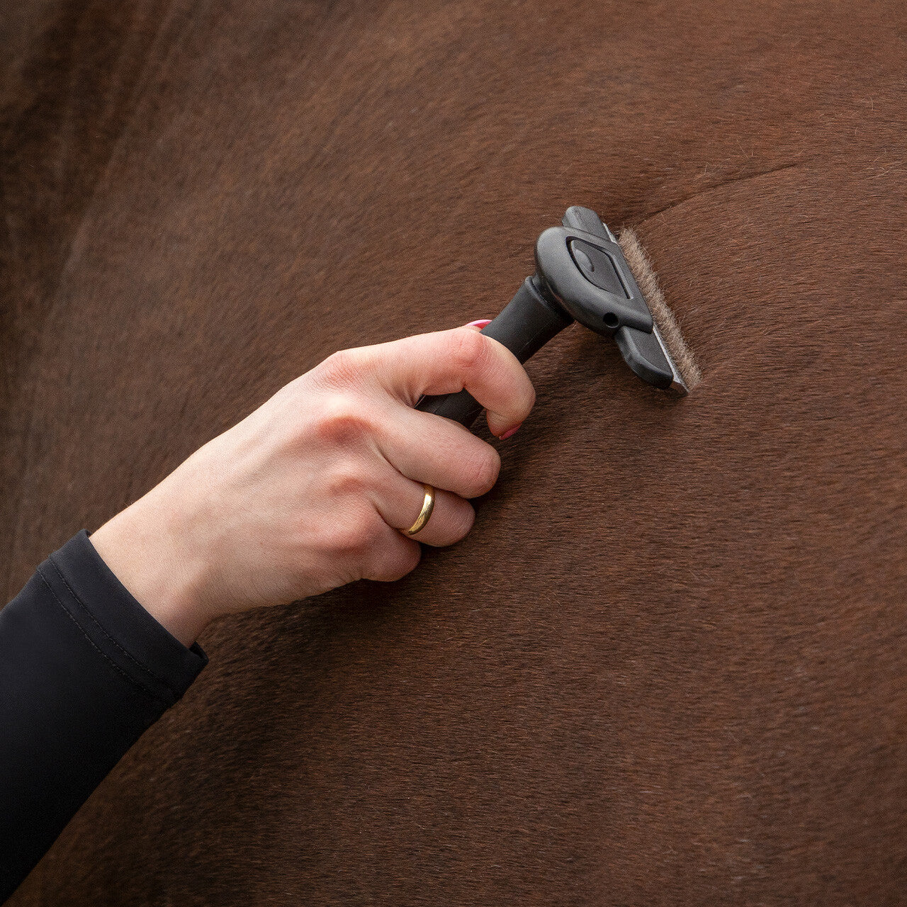QHP Shedding Brush