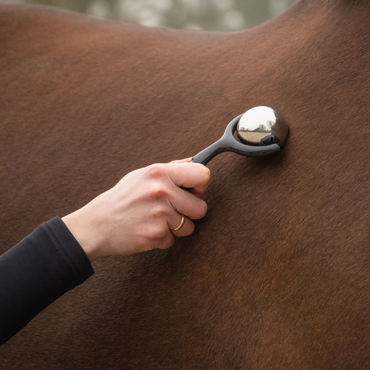 QHP Horse Massage Roller