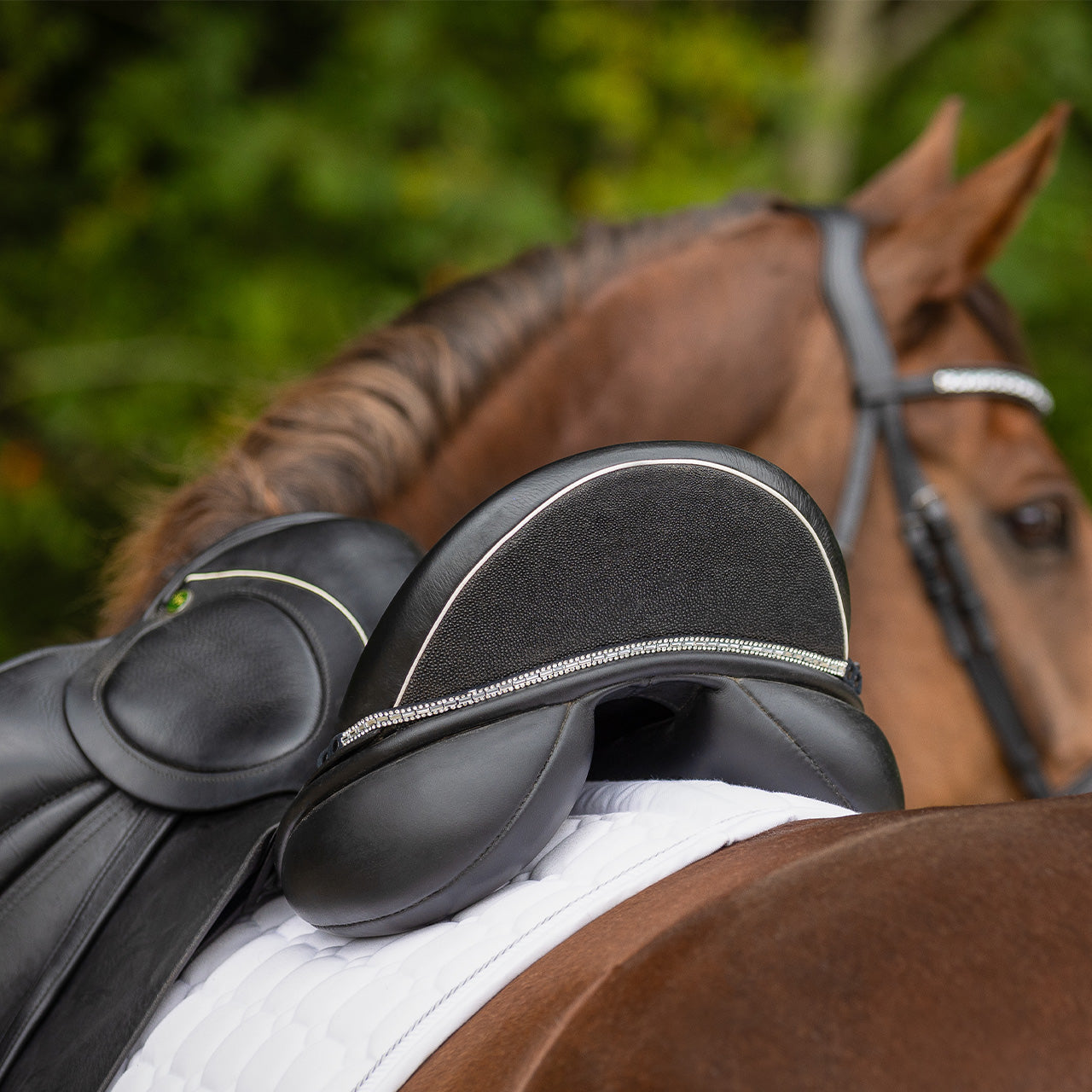 QHP smykke til sadlen Brittany