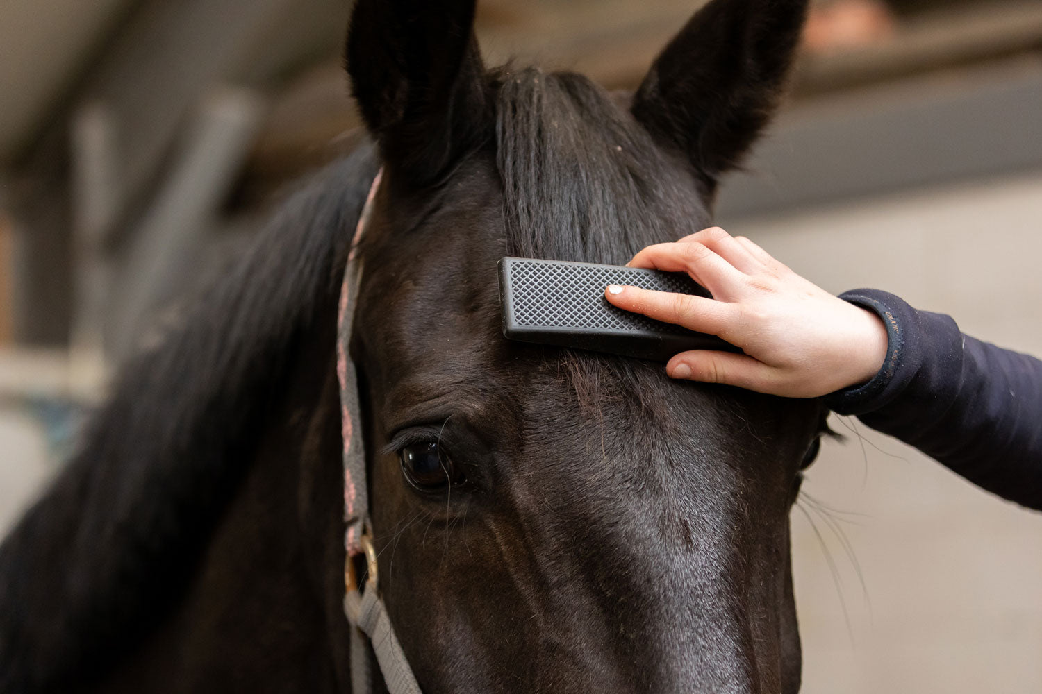 Excellent multi børste