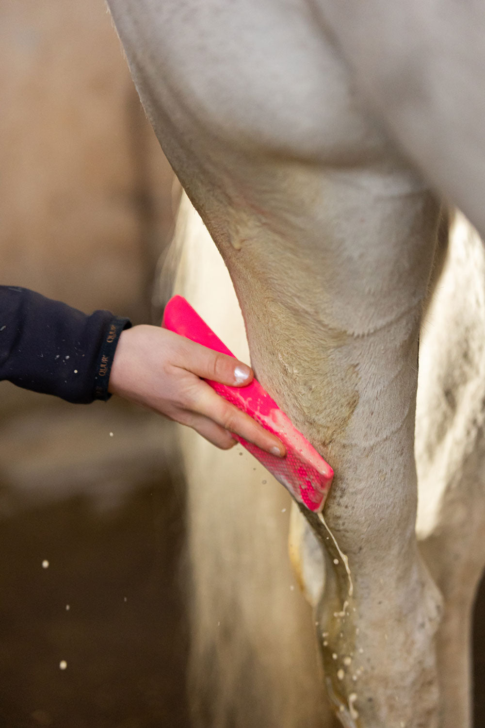 Excellent multi børste