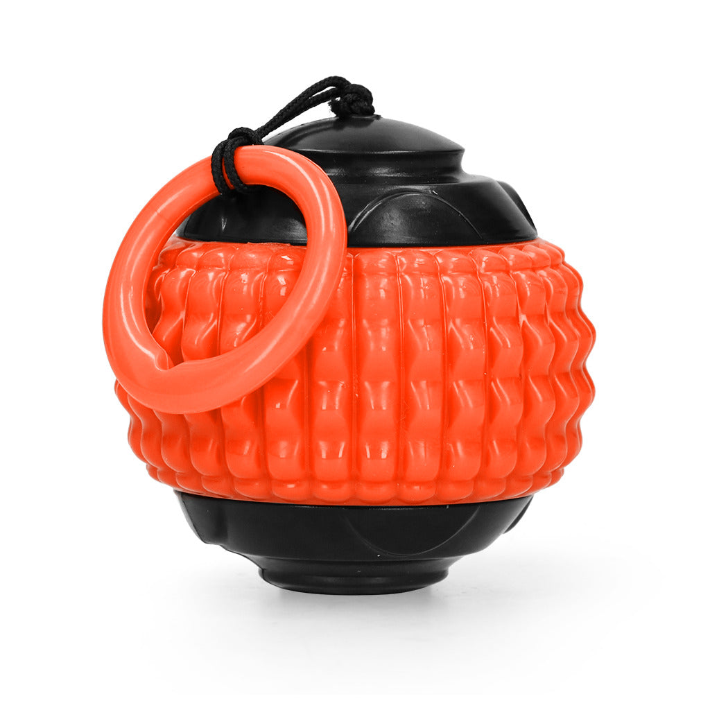 Dog Comets Blazar Jet