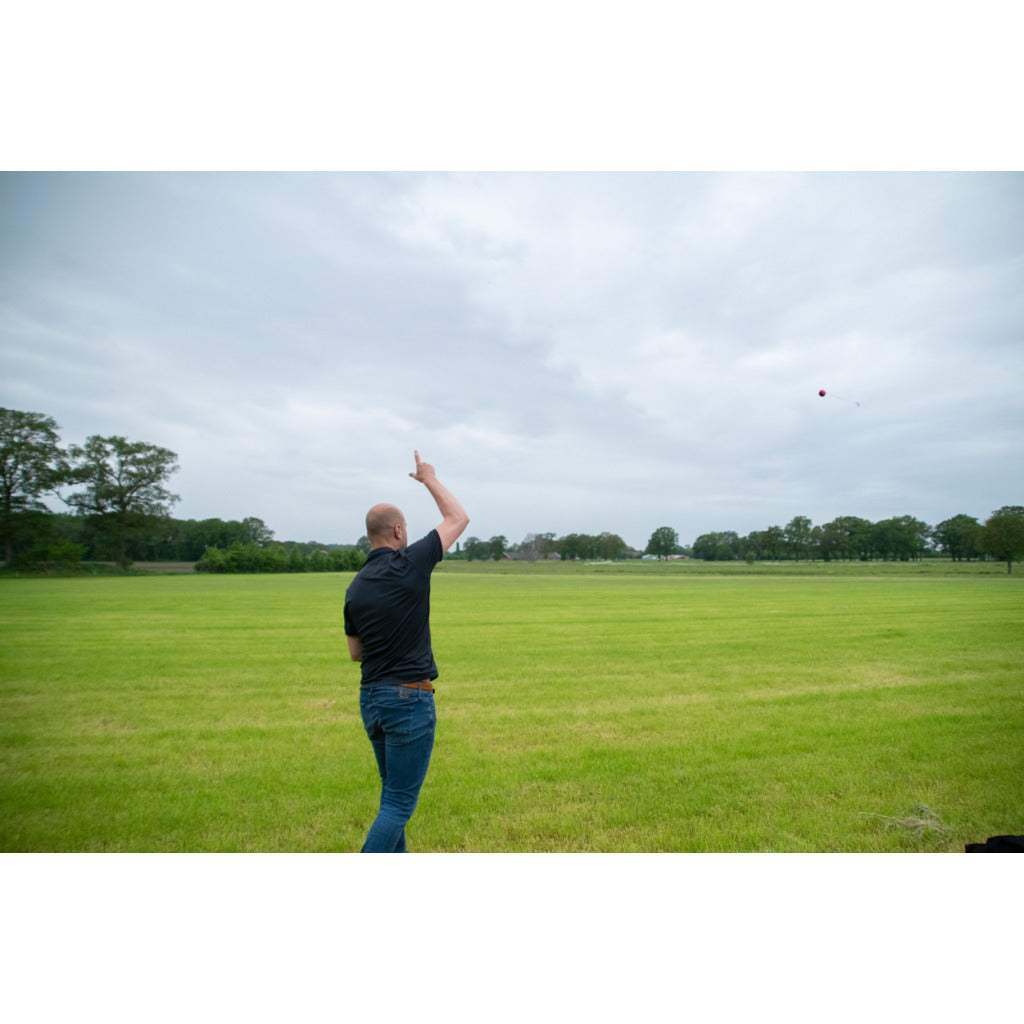 Dog Comets Blazar Jet