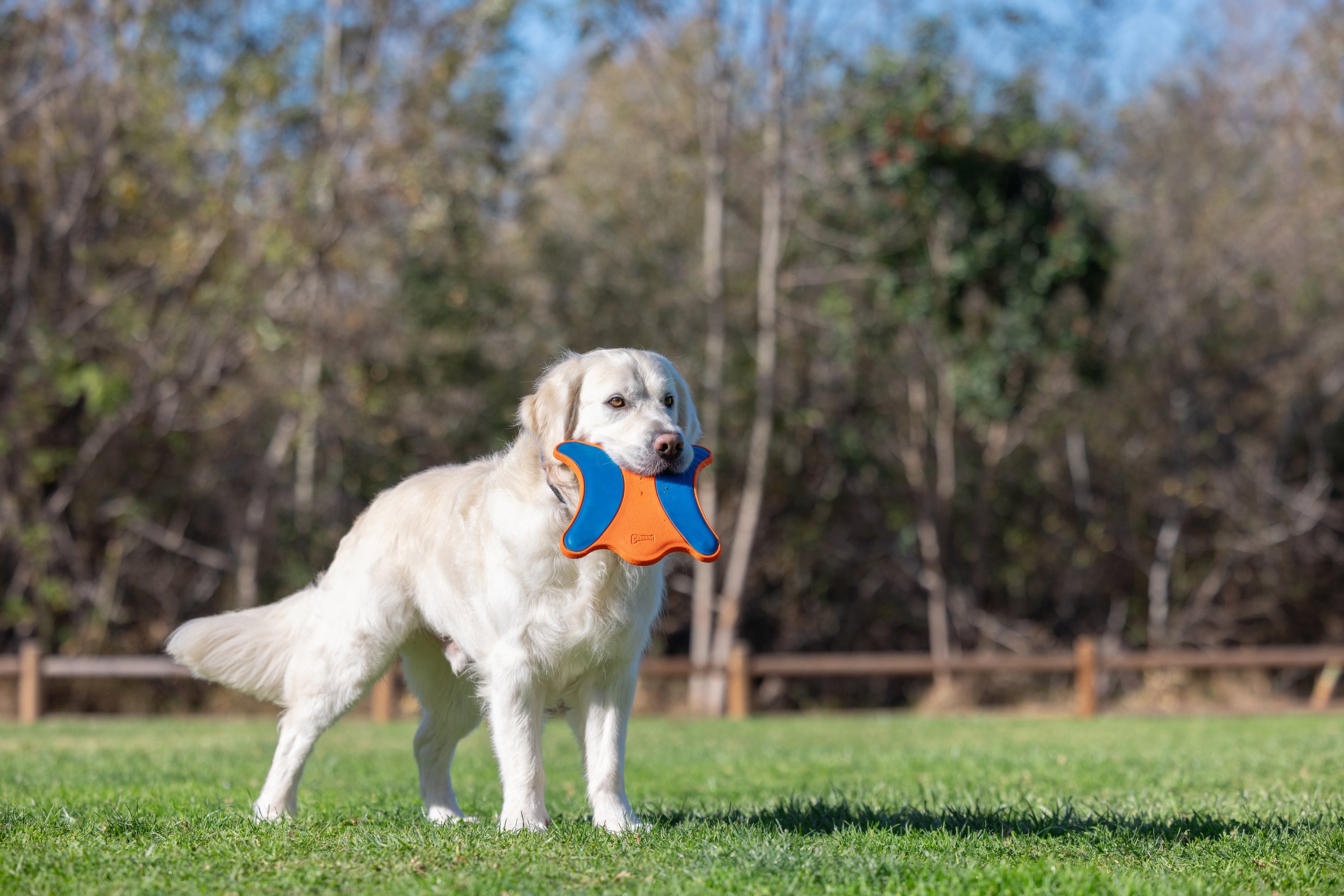 Chuckit! Ultra Flyvende Egern