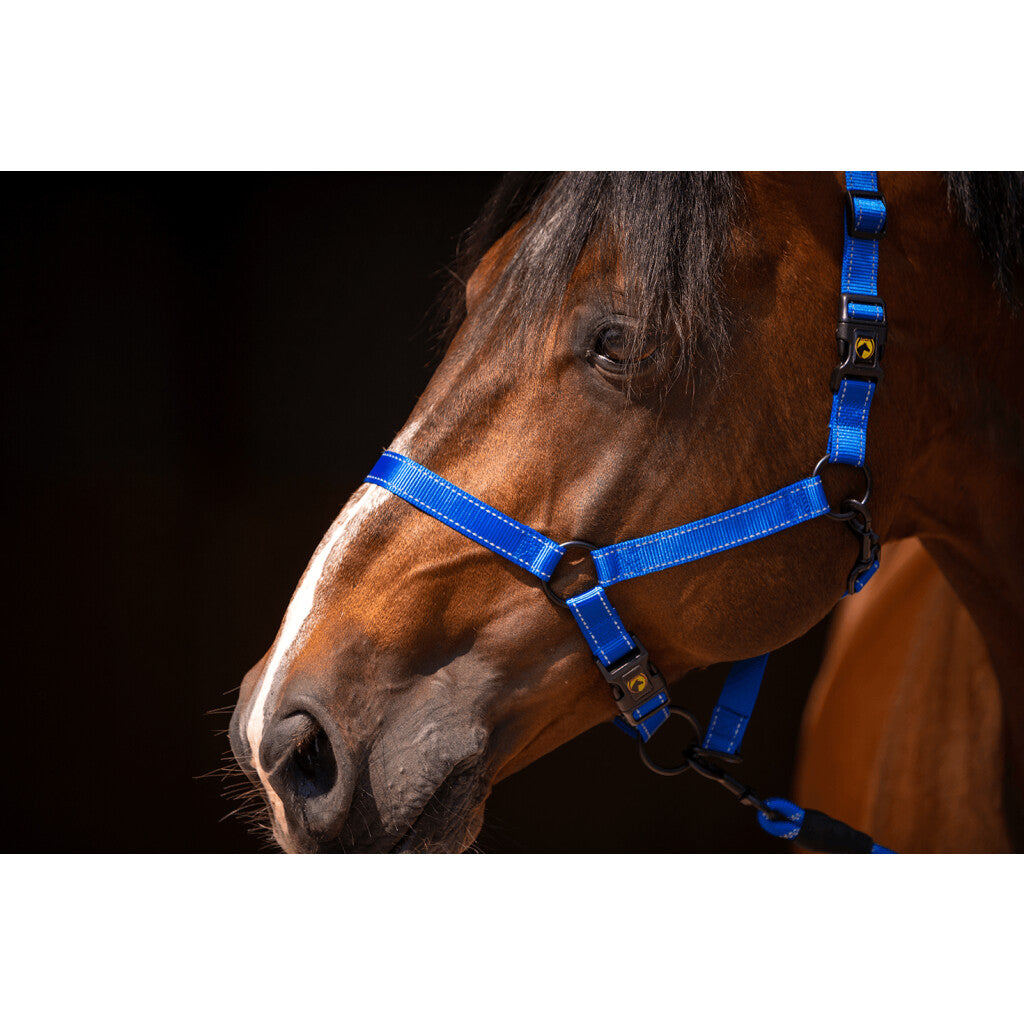 Excellent Horse Premium Grime