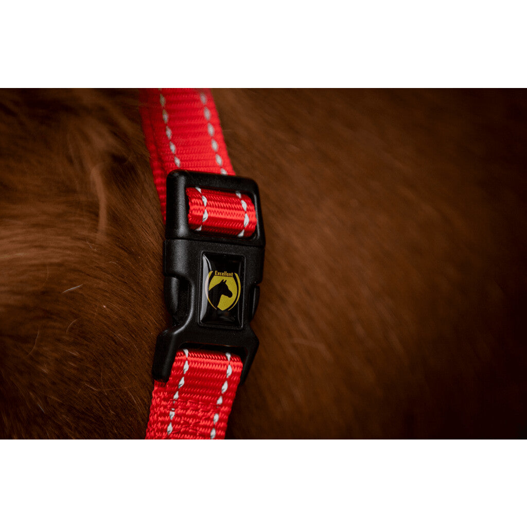 Excellent Horse Premium Grime