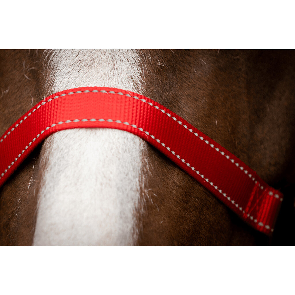 Excellent Horse Premium Grime