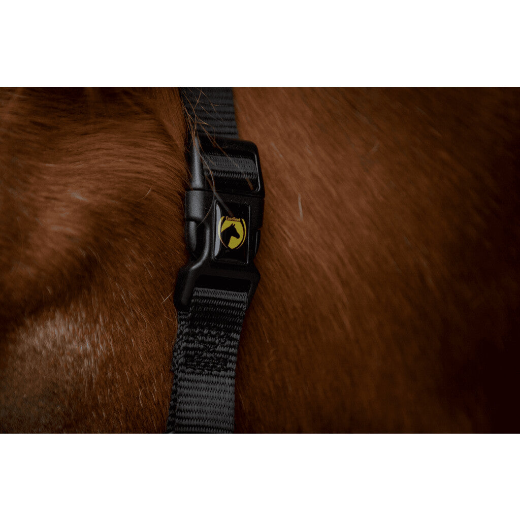 Excellent Horse Premium Grime