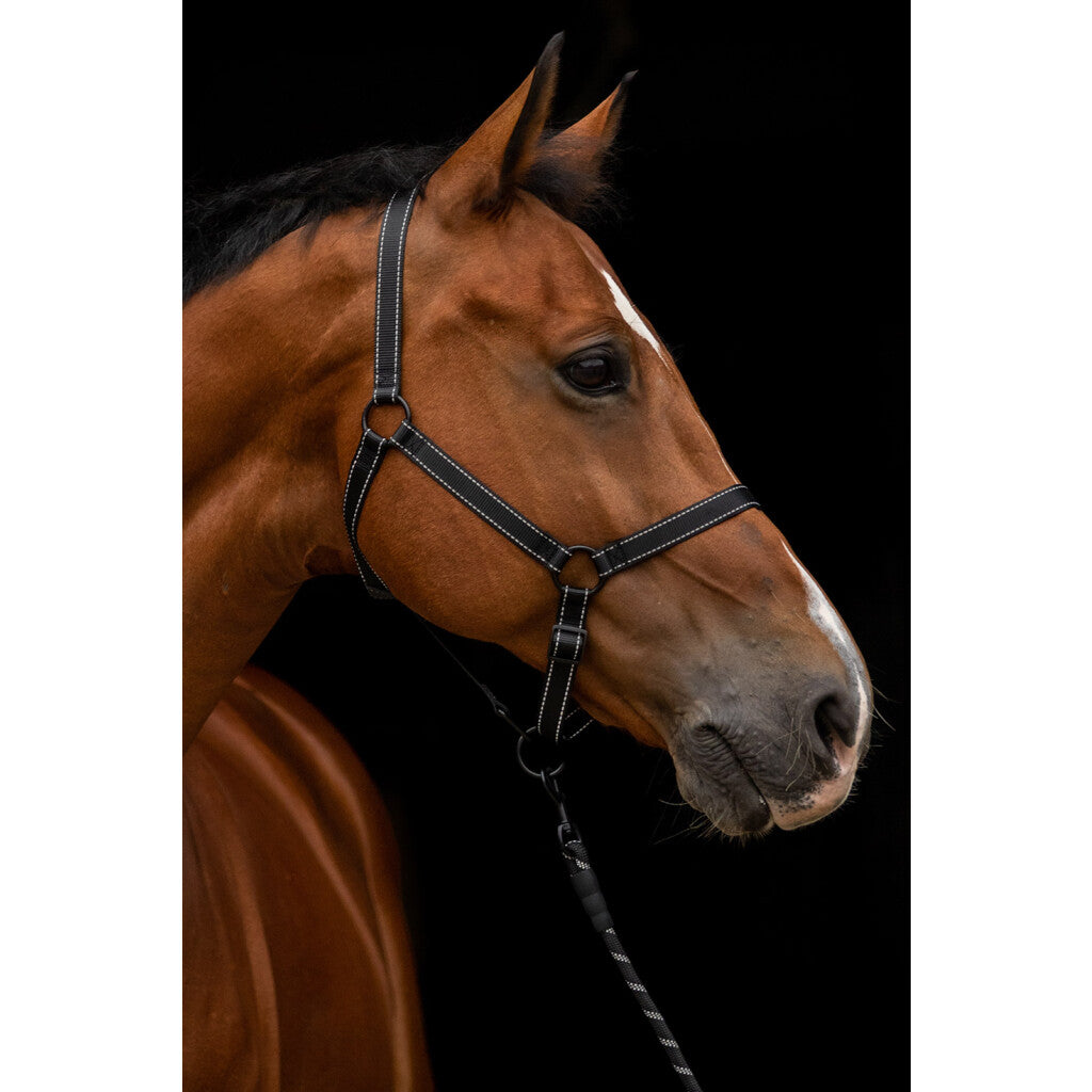 Excellent Horse Premium Grime