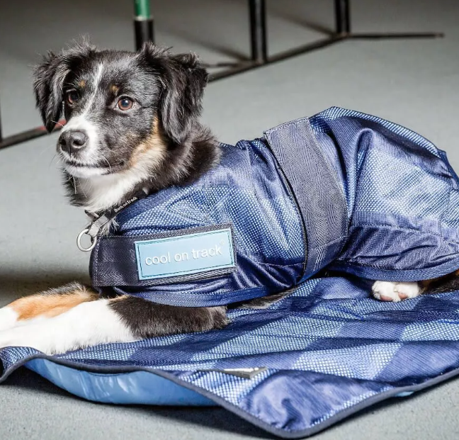 Cool on Track Kølehåndklæde fra Back on Track