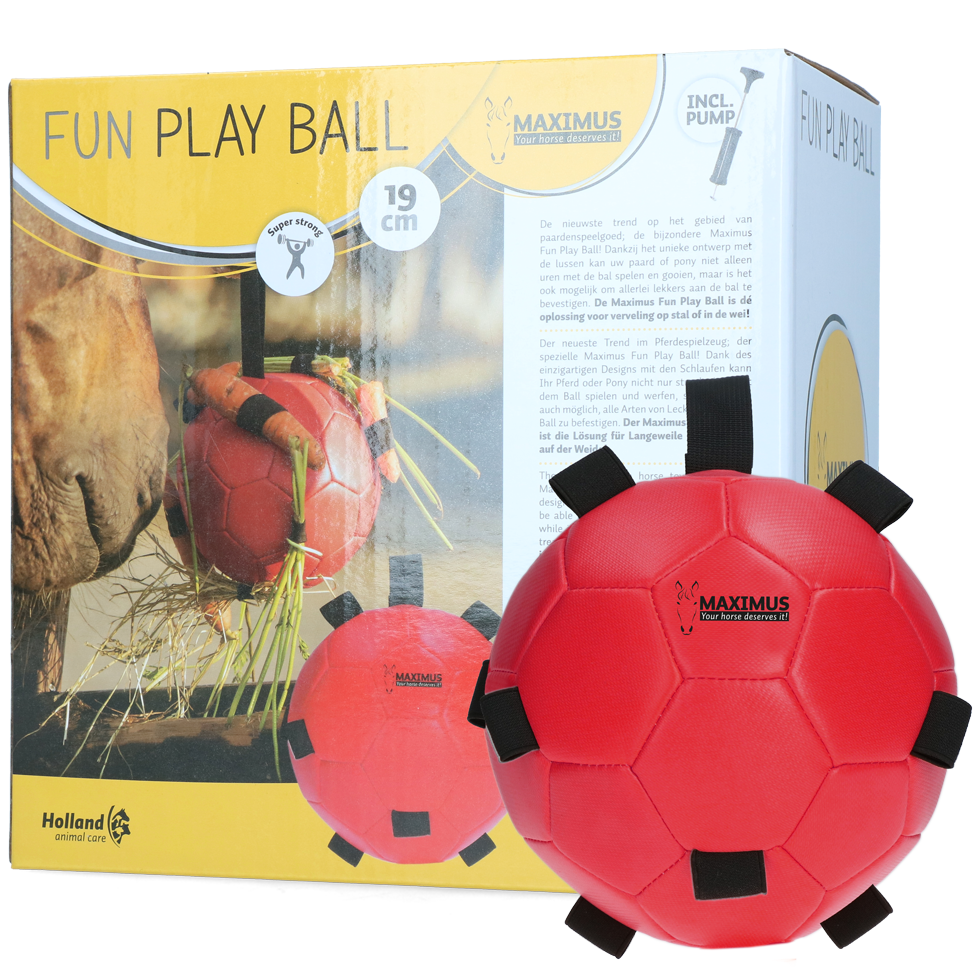 Maximus fun play ball