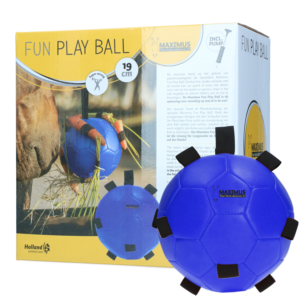 Maximus fun play ball