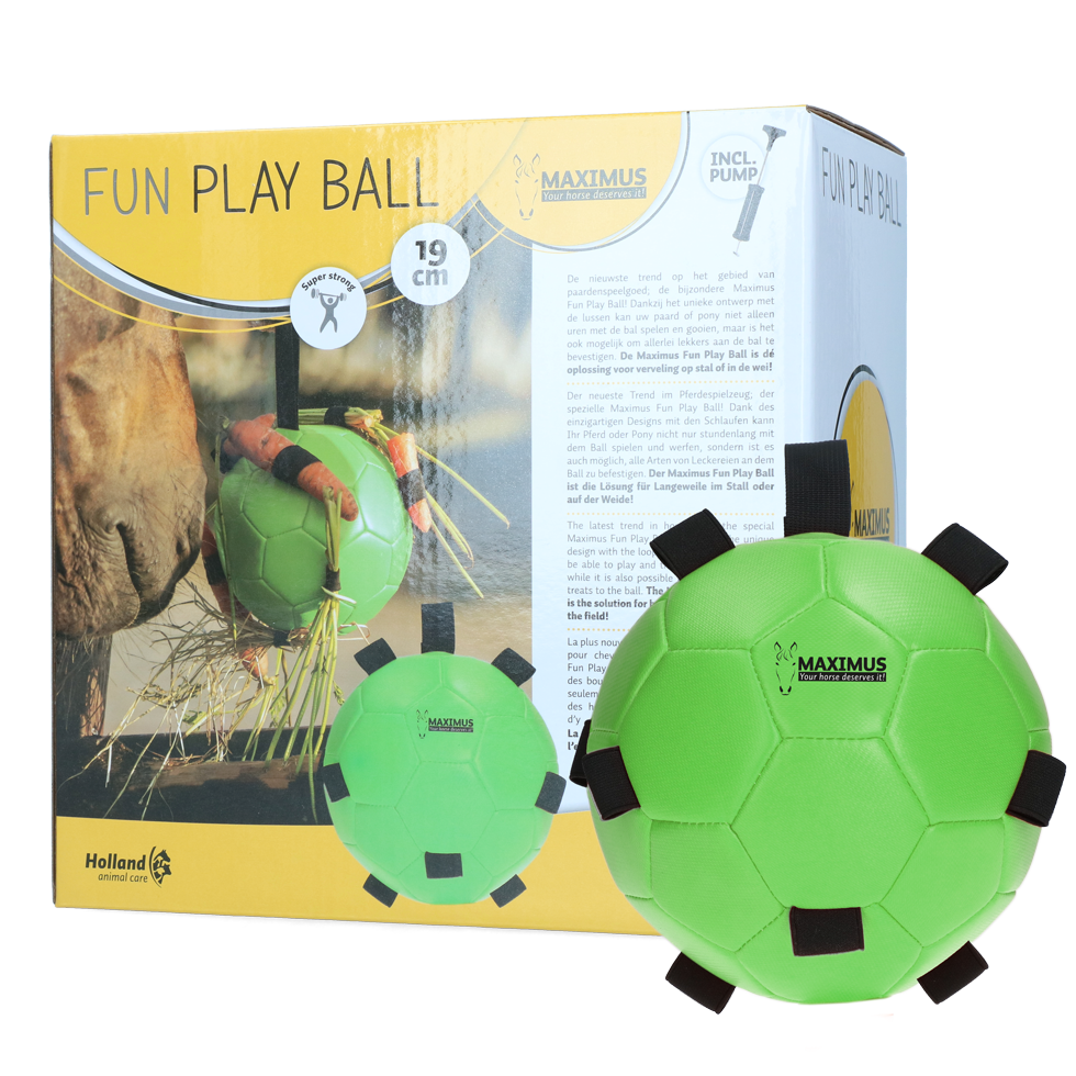 Maximus fun play ball