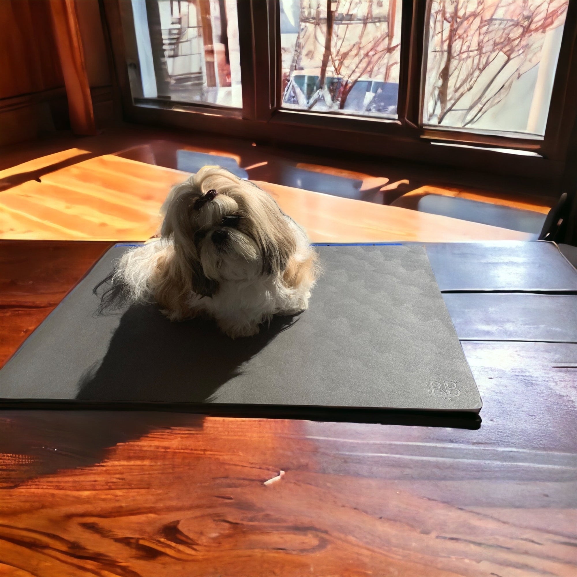 B&B Professionel Groomingmåtte