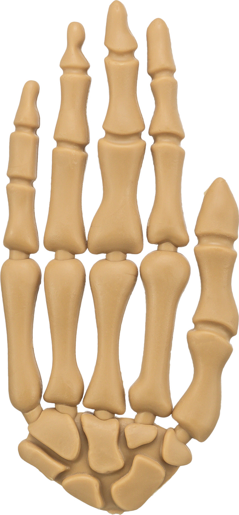 Charlietiptoe.com