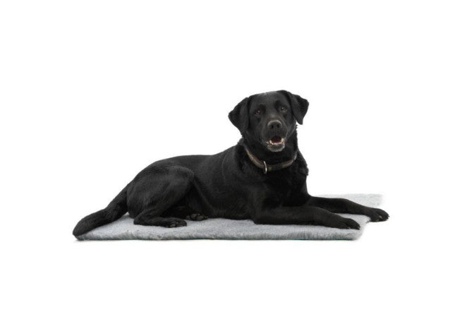 Kruuse Veterinary Bed