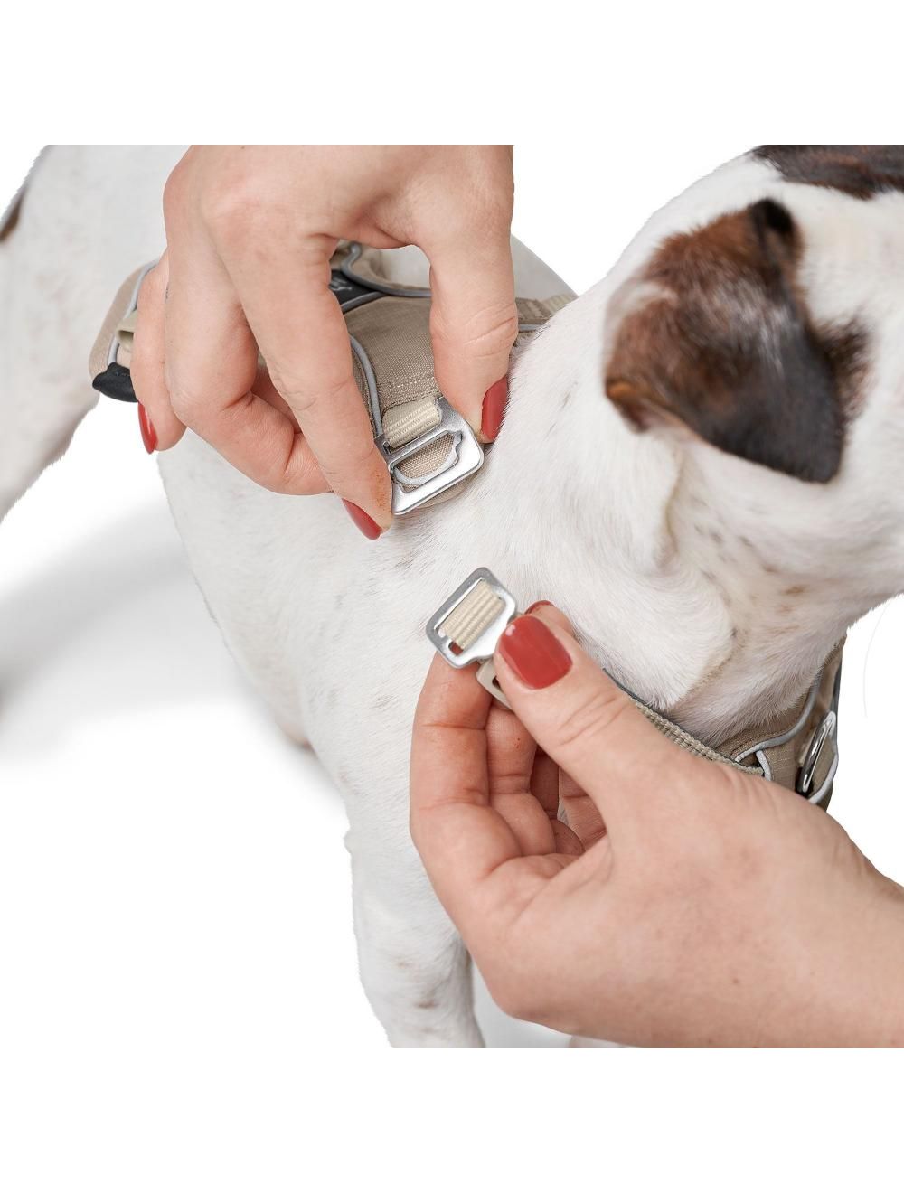 Divo Up hundesele fra Hunter