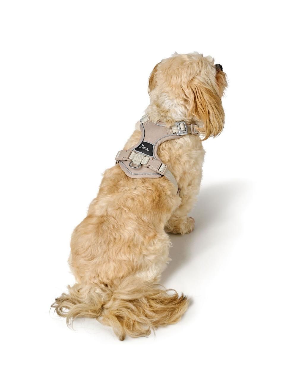 Divo Up hundesele fra Hunter