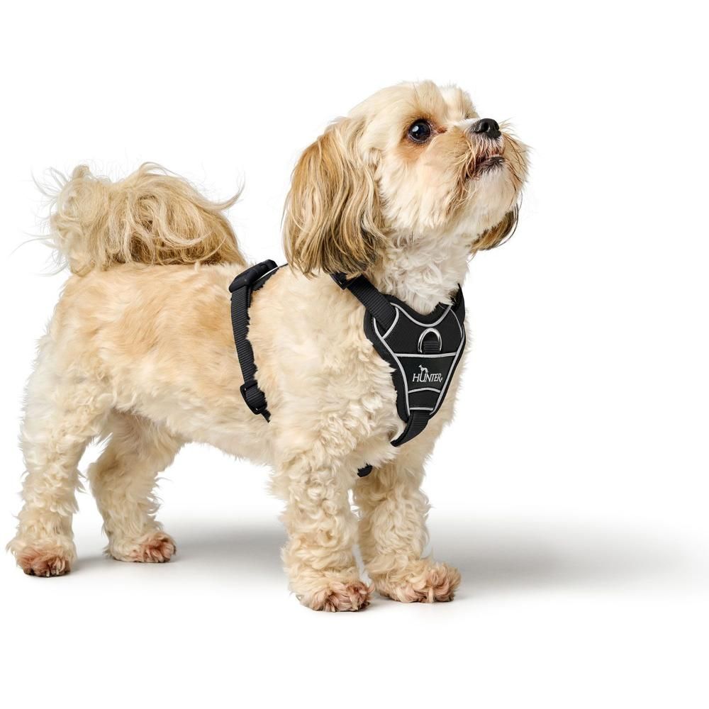 Divo Up hundesele fra Hunter