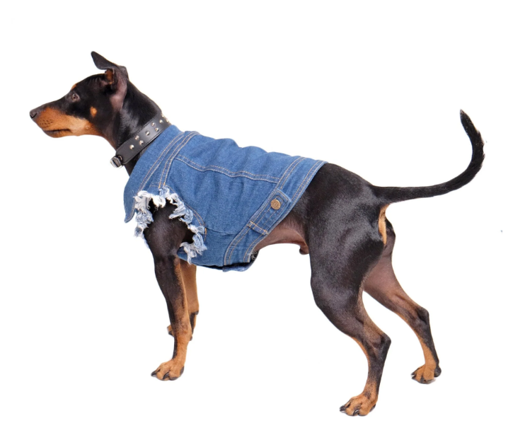 Pethaus Denim Hundevest
