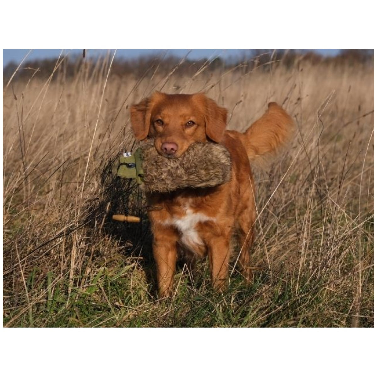 Fenriz by Procyon Dummy med pels – 500 g