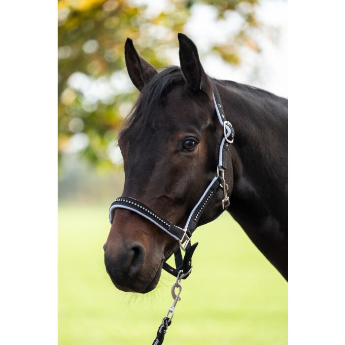 HKM Grime sæt med karabinhage -CRYSTAL-