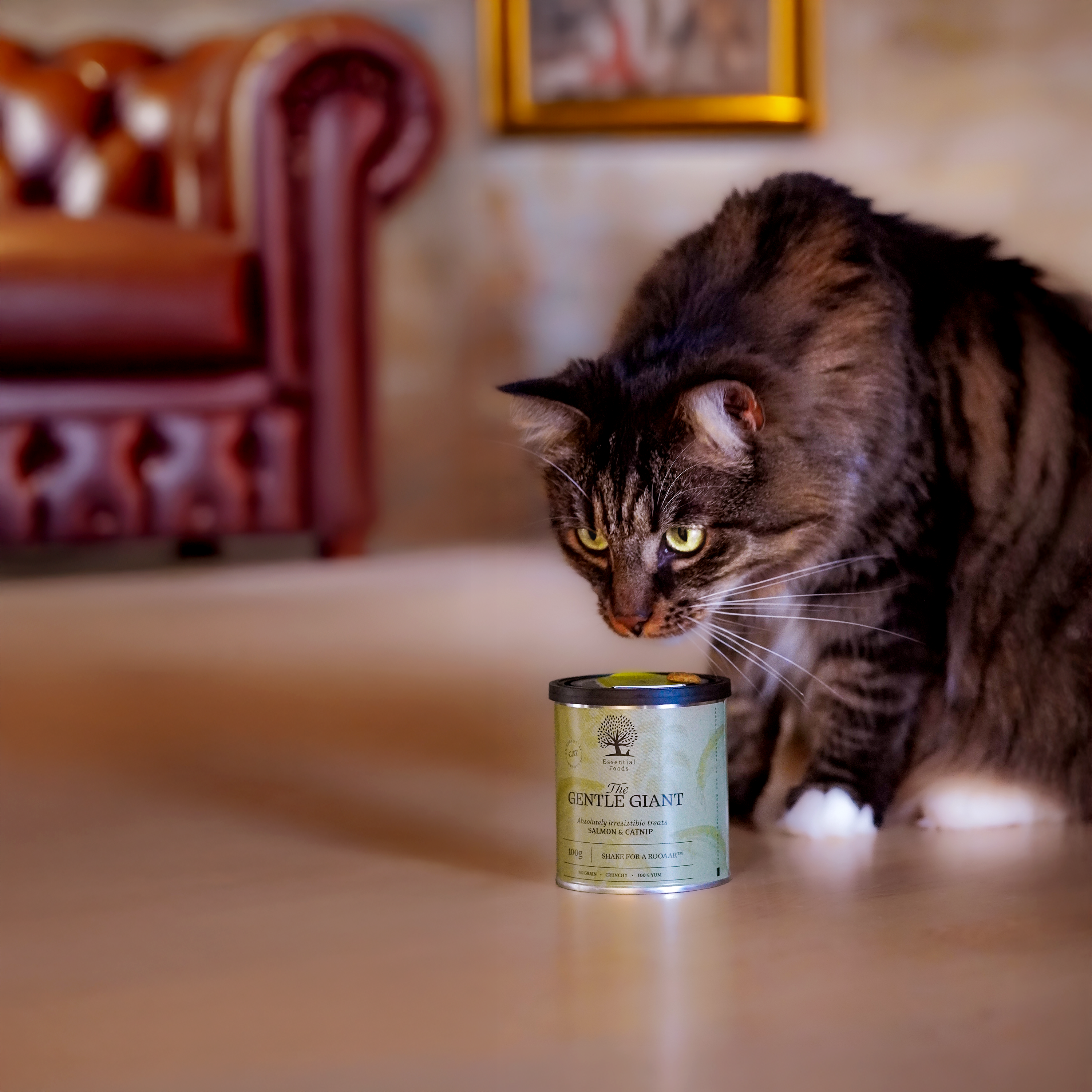 Essential Foods THE SILENT SHADOW – kattegodbidder med and (100 g)