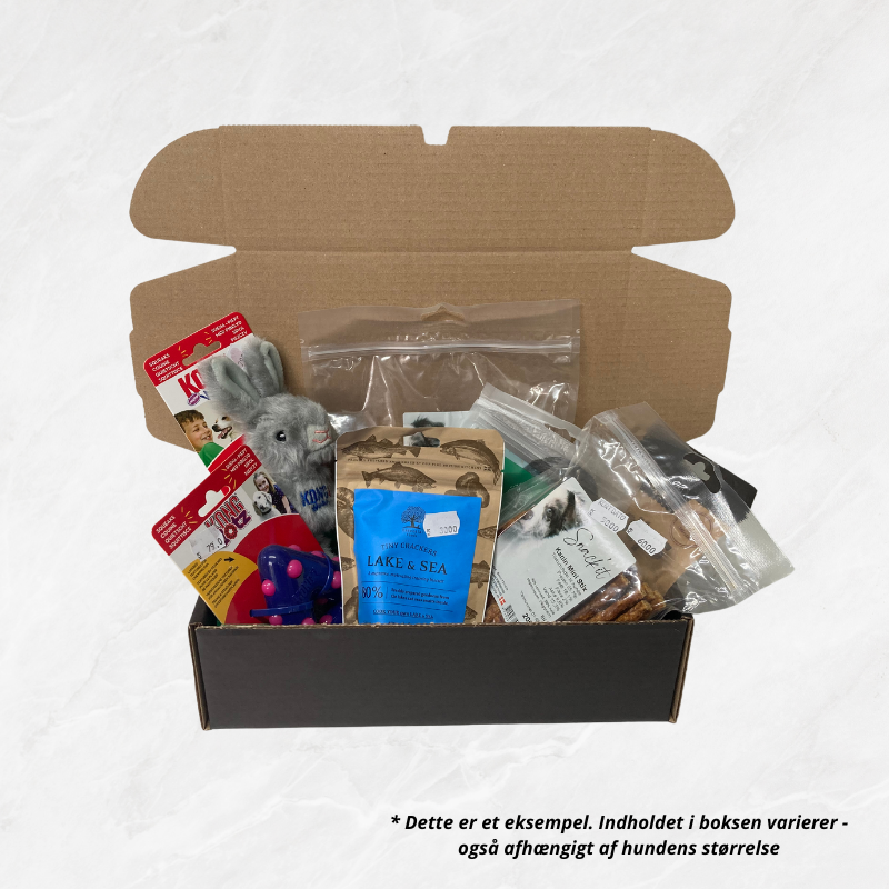 hjalmers hyggebox til hund design hundeboks til hund køb hos charlietiptoe