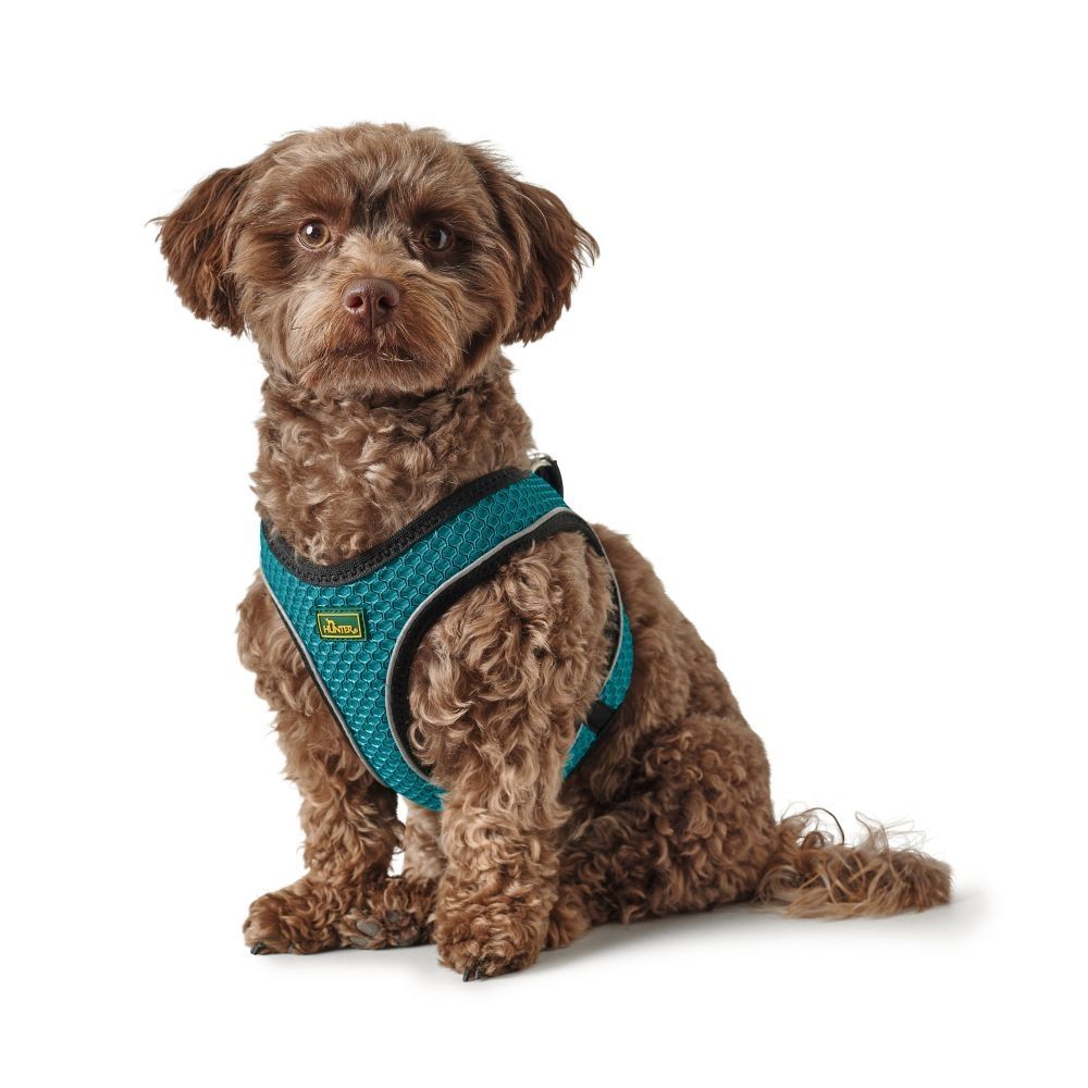 Hunter Hilo Comfort sele